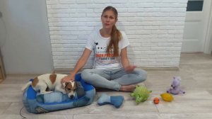 СОБАКА ПОСЛЕ ПРИВИВКИ. Можно ли ГУЛЯТЬ и МЫТЬ собаку. Что МОЖНО и НЕЛЬЗЯ собакам после вакцинации