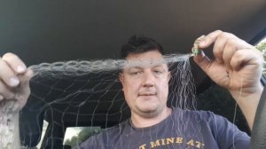 Про китайскую кормушку с сеткой