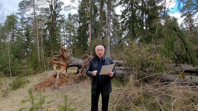 Детская сказка в стихах "Медвежата"- 1 часть. Читаем вслух. ОРЕХОВ СЕРГЕЙ. Стихи для детей. смотреть онлайн