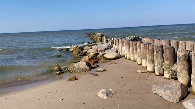 Зеленоградск глазами туриста: путешествие начинается с выхода из дома смотреть онлайн