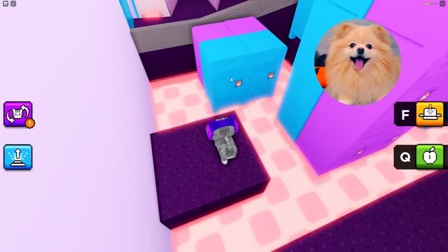 СПАСАЮ КОТИКОВ ! НАШЛА ВОЛШЕБНЫХ КОТЯТ В РОБЛОКС ! Play Cats Morphs: Friend Rescue ROBLOX смотреть онлайн