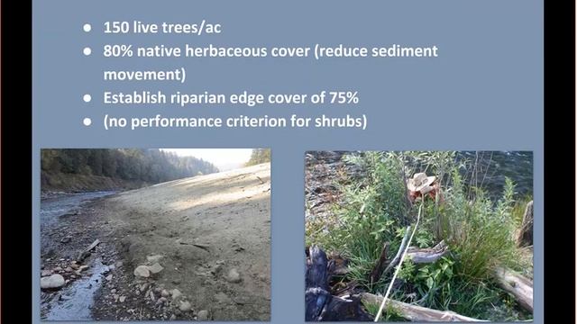 Burkhardt & Grimm on White Salmon River Riparian Restoration смотреть онлайн