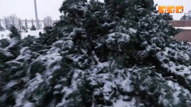 Более 7 миллионов тенге выделено на украшение Темиртау к Новому году смотреть онлайн