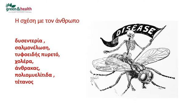 Η Green & Health και η Μύγα смотреть онлайн