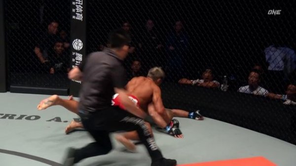 ONE's Top 100 KNOCKOUTS ???