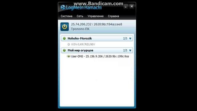 Что такое Hamachi и как им пользоваться? смотреть онлайн