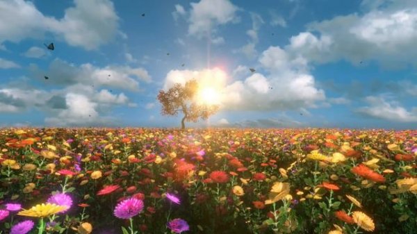 Vahag Rush - Արի Իմ Սոխակ / Ari Im Soxak