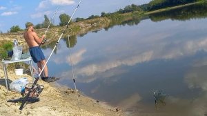 Летняя рыбалка на донки, много рыбы, лоси на водопое, ондатра приплыла в гости