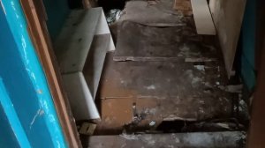 Купил дачу своей мечты детства за 90 000 рублей