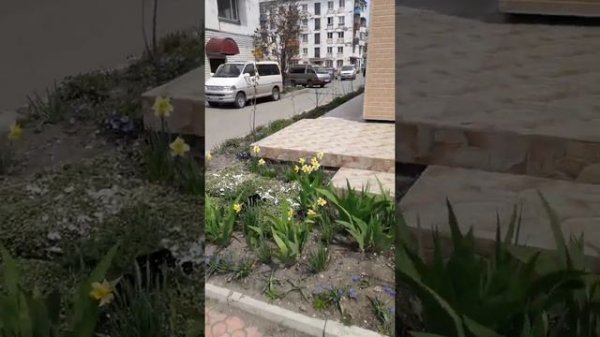 Toyota Master Ace Surf (1988 — 1991)