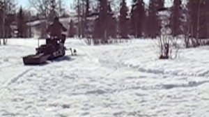 Мотобуксировщик ПАХУС-600-ТАЙГА с лыжным модулем в крутую горку.