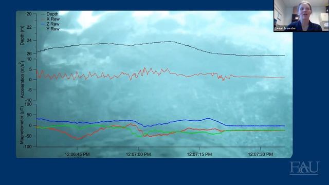 Let's Talk About Toxic Blooms' Bite on Bull Sharks