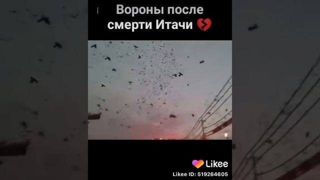 Вороны после смерти итачи? видео из лайка смотреть онлайн