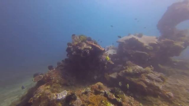 padang bai diving trip 2015 смотреть онлайн