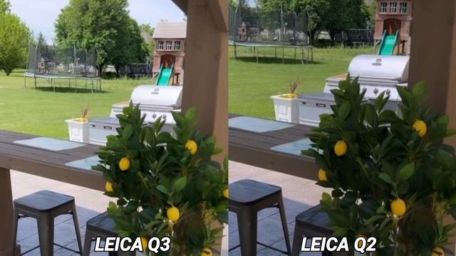 Leica Q3 Vs Leica Q2 Camera Test Comparison