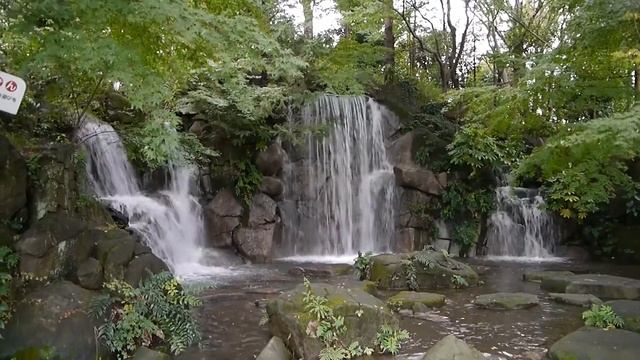 Kyoudo no Mori 111023 （G3-Full HD） смотреть онлайн