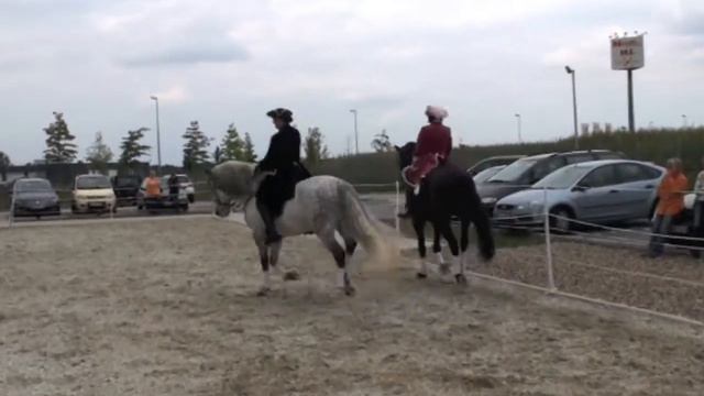 Auftritt Krämer, Braunschweig смотреть онлайн
