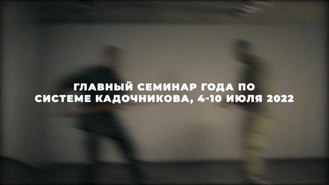 Система Кадочникова