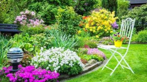 Красивые клумбы на даче. Идеи оформления красивой клумбы. Много фото