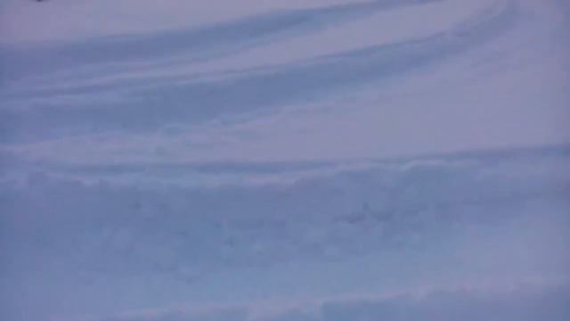 Мухтар 7 Тесты по пухляку смотреть онлайн