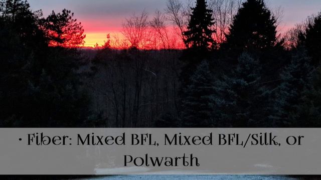 FDW Winter Magical Holiday Countdown Collections смотреть онлайн