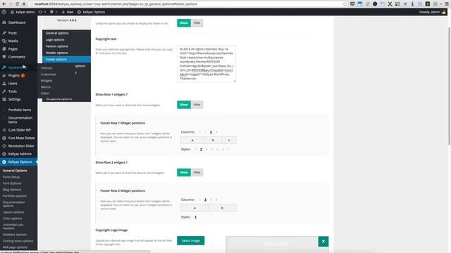 Footer options in Kallyas options ( Kallyas WordPress theme v4.0 ) смотреть онлайн