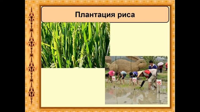8 класс история. Североамериканские колонии Англии. смотреть онлайн