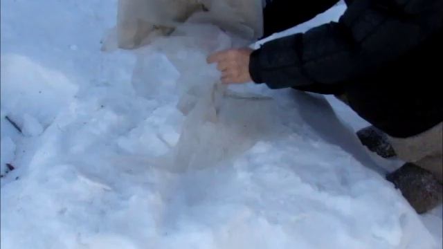 Плёнка на морозе смотреть онлайн