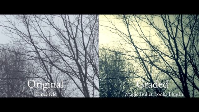 Cinematic Look | Canon EOS 60D смотреть онлайн