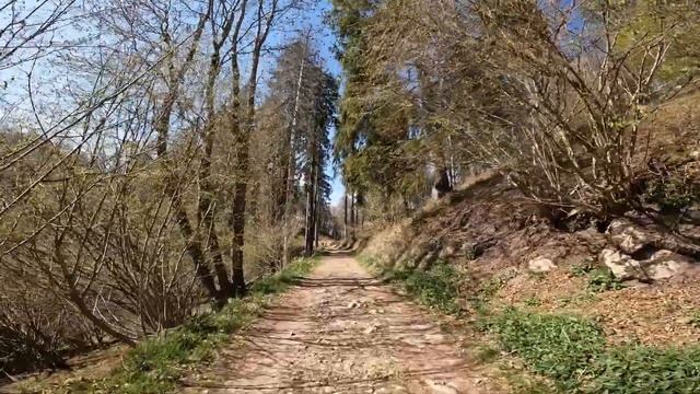 WalkWithFede: Campo dei Fiori di Varese, dall'Osservatorio al Forte d'Orino смотреть онлайн