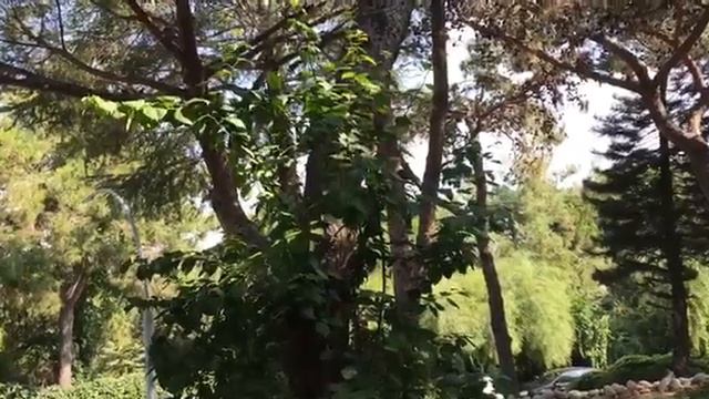 BELLIS HOTEL главный вход отеля смотреть онлайн