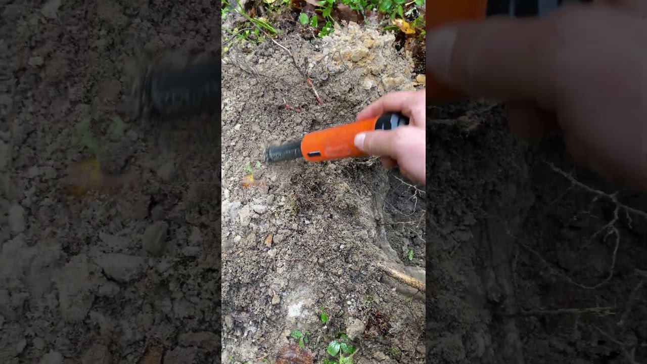 Номинал не известен!!! #2023 #лес #коп #металлоискатель #находкисметаллоискателем