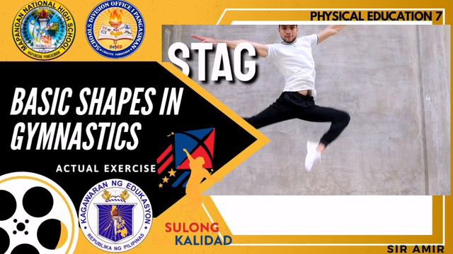 Basic shapes in Gymnastics смотреть онлайн