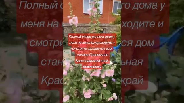 Продается дом станица Привольная Краснодарского края, 89189542292 смотреть онлайн