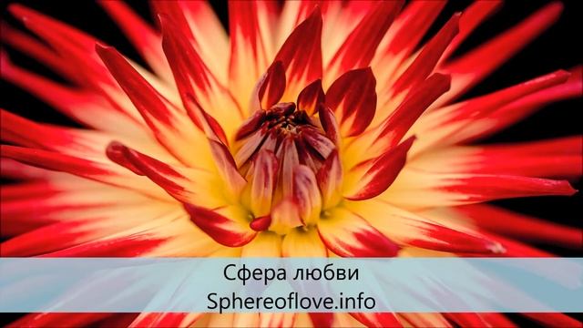 Ченнелинг-медитация. Как мы помогли инопланетянам смотреть онлайн