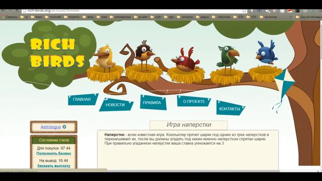 Rich-Birds вся правда! Развод или нет??? смотреть онлайн