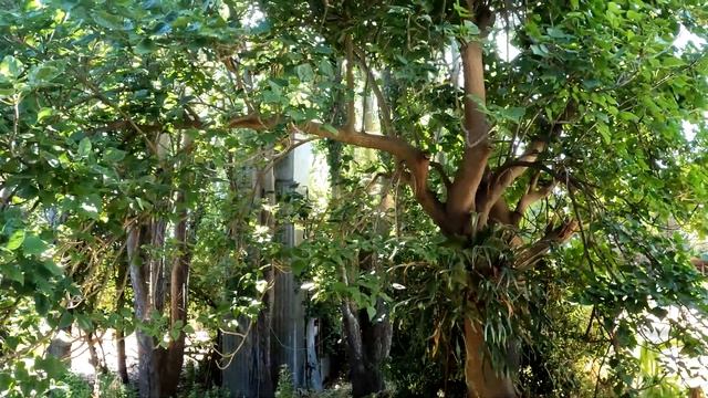 Жизнь на Ферме. Австралия смотреть онлайн