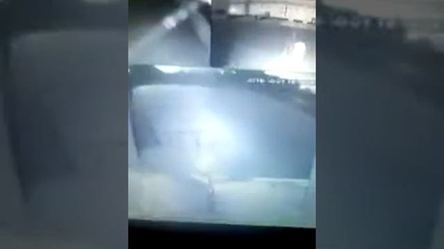 Три летучие мыши в камере ночного видения смотреть онлайн