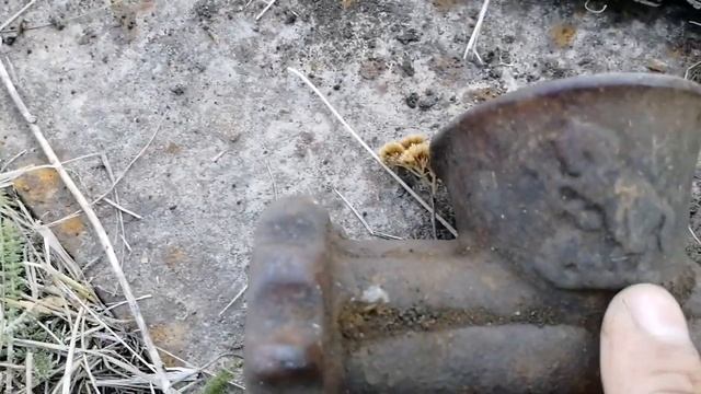 Жара пошла на спад. Выехали на коп. смотреть онлайн