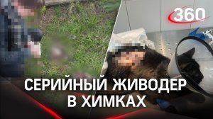 Серийный живодер орудует в Химках - убивает котов и расчленяет скальпелем