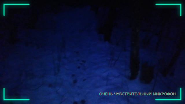 В ЛЕСУ ЧТО-ТО БЕЖАЛО ЗА МНОЙ!!!ЖУТКИЕ КРИКИ!!! лесная нечисть_Paranormal activity in real life смотреть онлайн