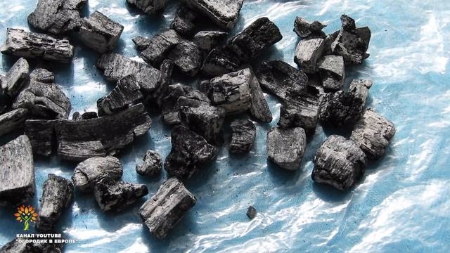 Томаты и перцы в ведрах. Почва. О выращивании овощей и цветов в домашних контейнерах. Серия 1. смотреть онлайн