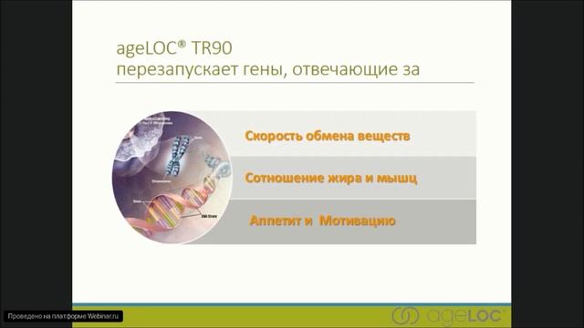 Estera, R2, TR 90 смотреть онлайн