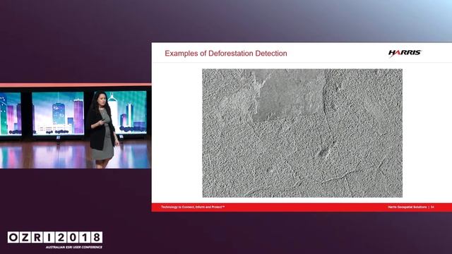 SAR analytics helping save the Amazon смотреть онлайн