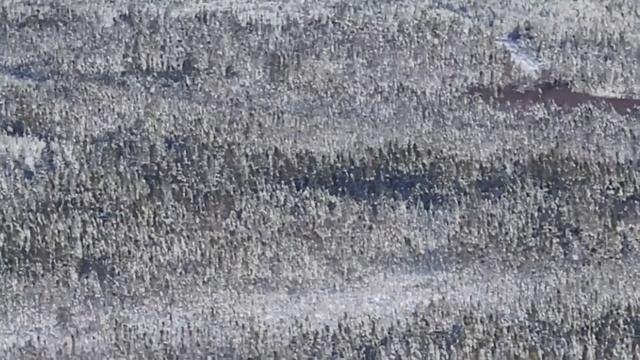 Late Season Moose Hunt! (Jarets Moose) - 2022 Season, Newfoundland смотреть онлайн