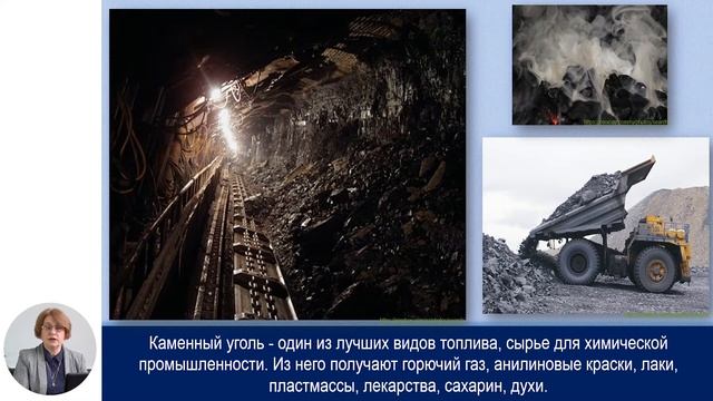 Биология, 10-й класс, Значение Папоротникообразных в природе и жизни человека смотреть онлайн