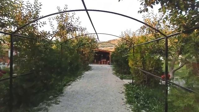 Лавандовые поля Крым и Белая скала. Что посмотреть?! смотреть онлайн