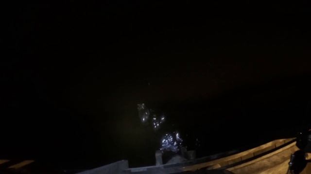 Pier Fishing For AFTER MIDNIGHT Fluke / Flounder W. Berkley GULP Baits