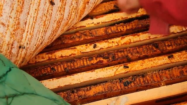 Про ремонт, новый участок и зимовку смотреть онлайн