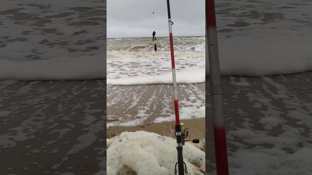 Рыбалка на Черном море 25 марта 2023 год клев отличный сегодня поймал 14 бычков погода моя любимая смотреть онлайн